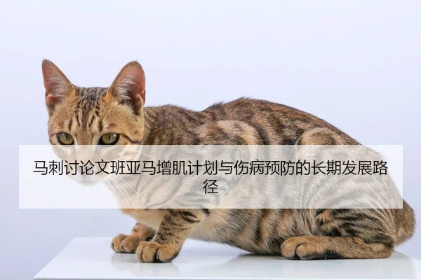 马刺讨论文班亚马增肌计划与伤病预防的长期发展路径